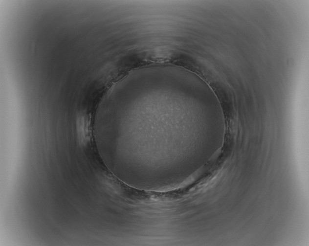 X0000115310818200911091135