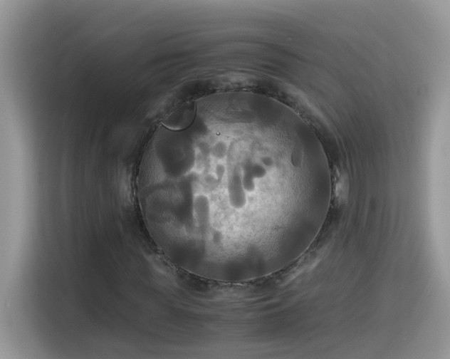 X0000115310819200911091135