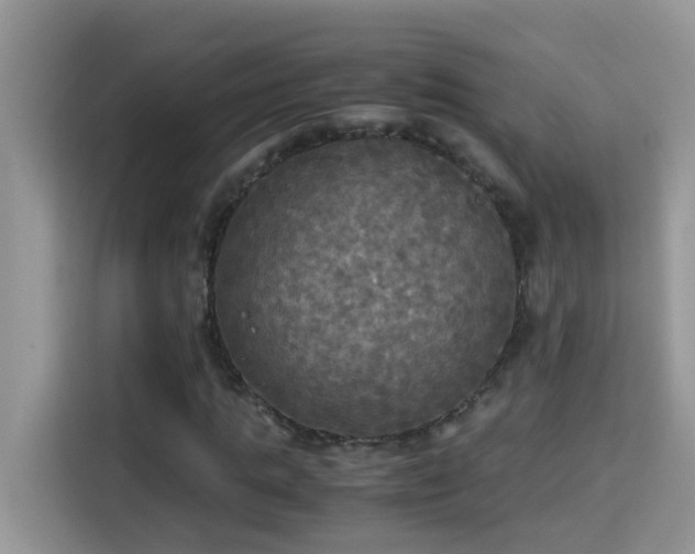 X0000115310821200911091135