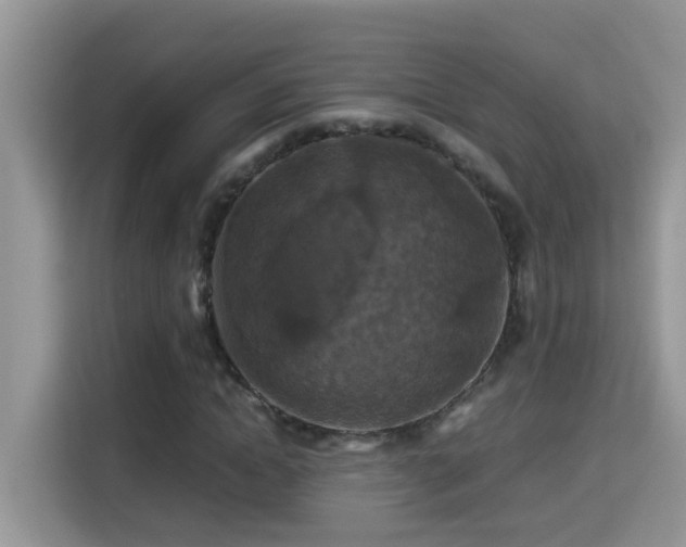 X0000115310822200911091135