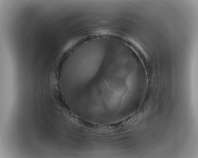 X0000115310823200911091135