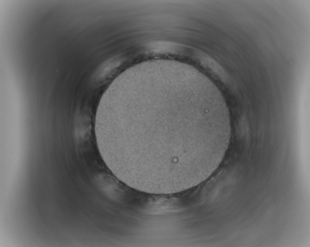 X0000115310824200911091135