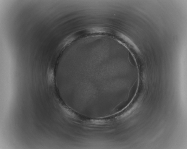 X0000115310825200911091135