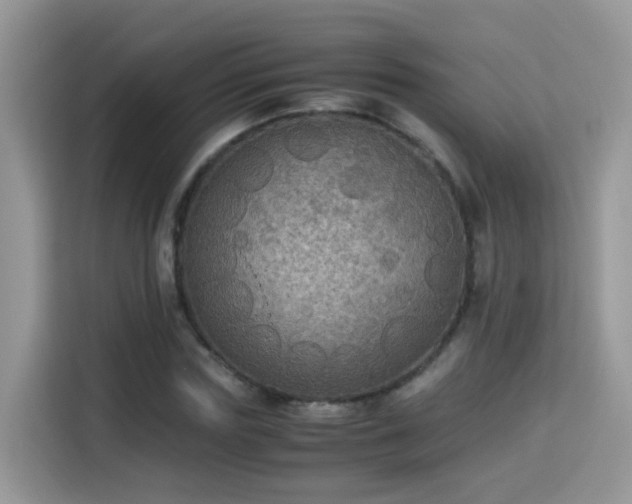 X0000115310827200911091135