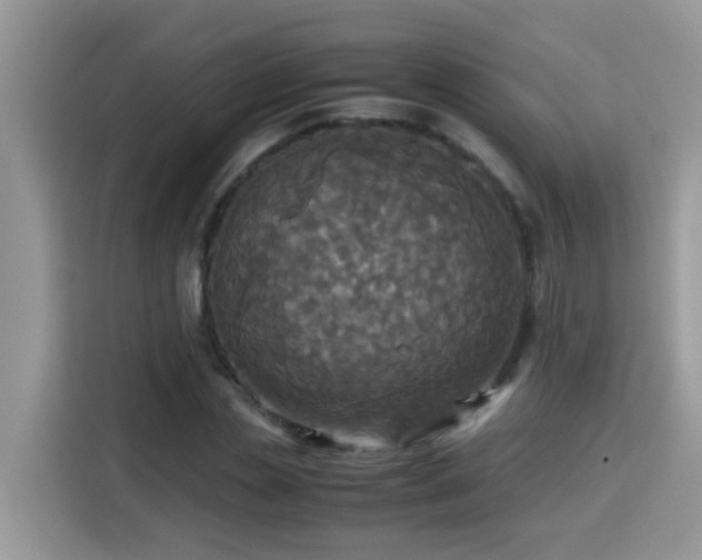 X0000115310829200911091135
