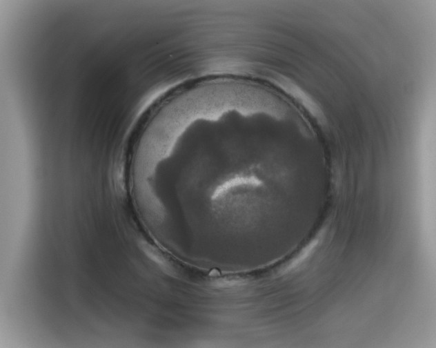 X0000115310830200911091135