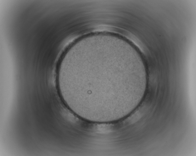 X0000115310832200911091135