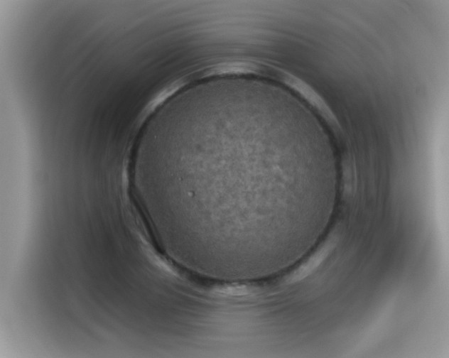 X0000115310834200911091135