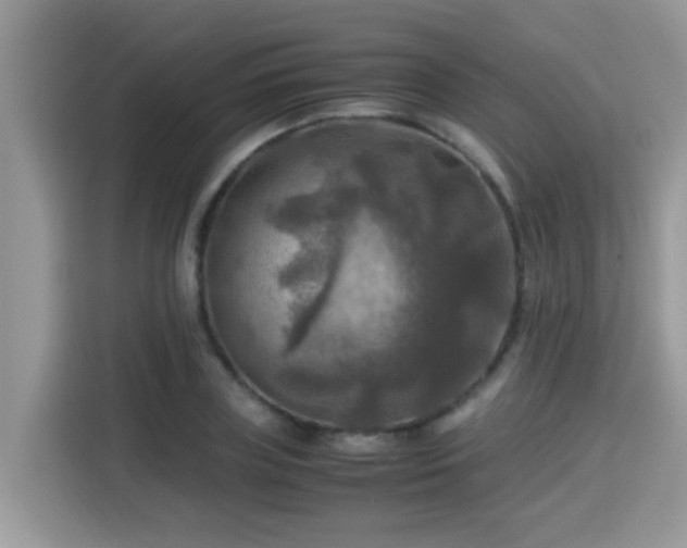 X0000115310835200911091135
