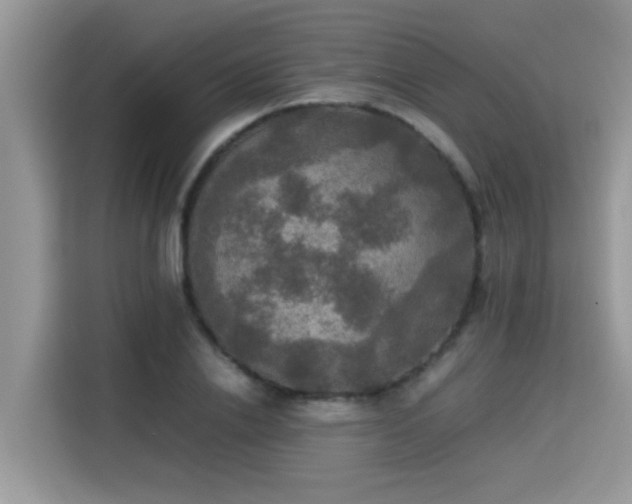 X0000115310838200911091135
