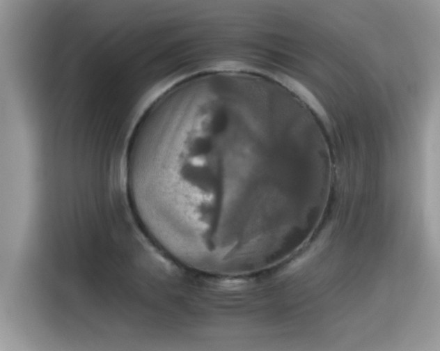 X0000115310839200911091135