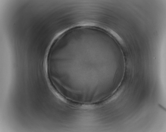 X0000115310840200911091135