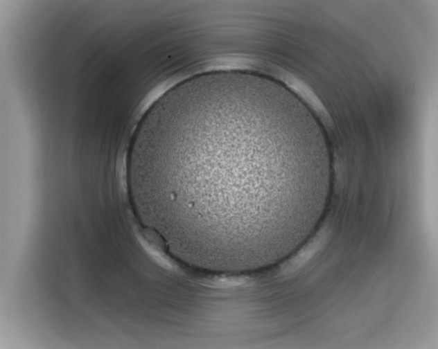 X0000115310842200911091135
