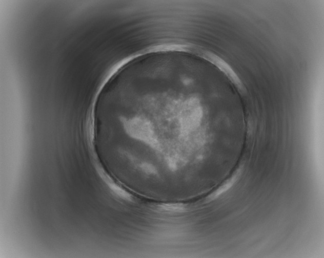 X0000115310844200911091135