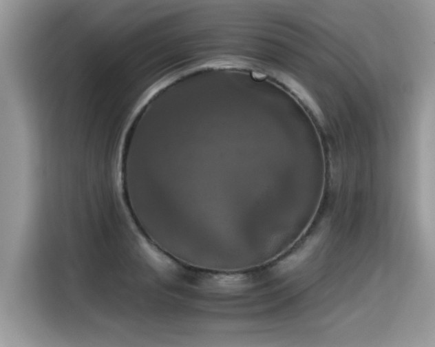X0000115310845200911091135
