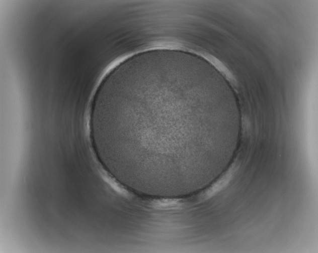 X0000115310846200911091135