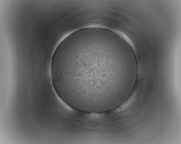 X0000115310847200911091135