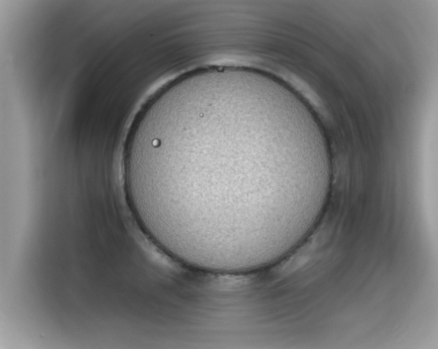 X0000115310848200911091135