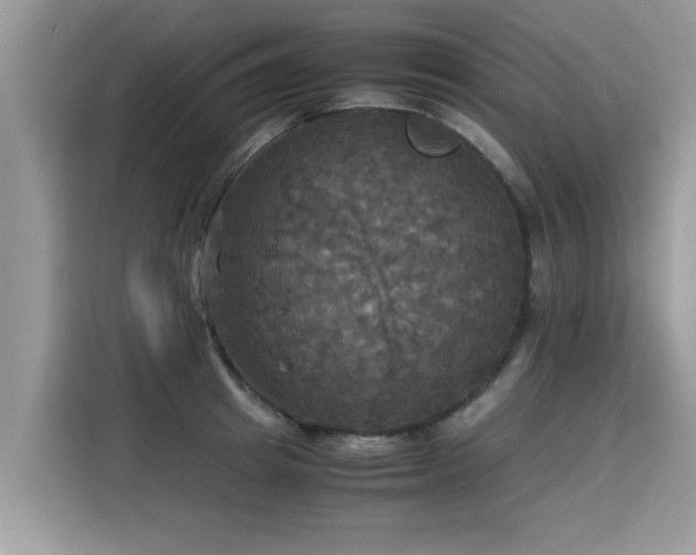 X0000115310849200911091135