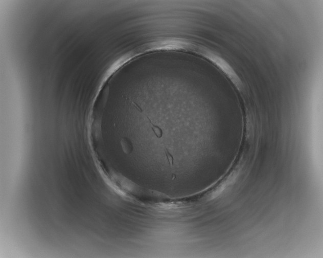 X0000115310850200911091135