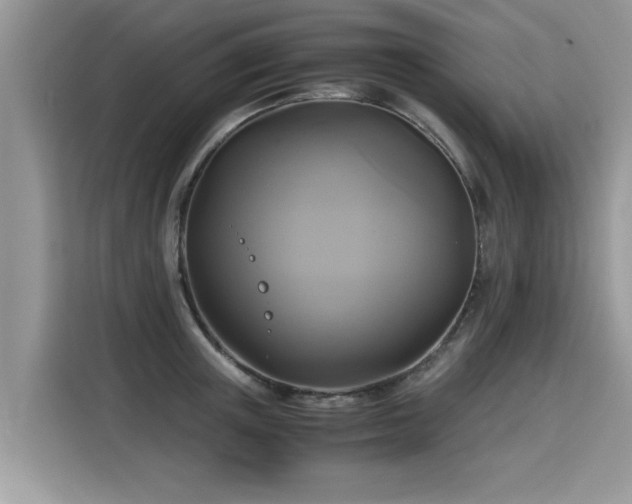 X0000115310851200911091135