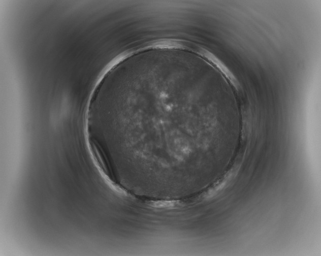 X0000115310853200911091135