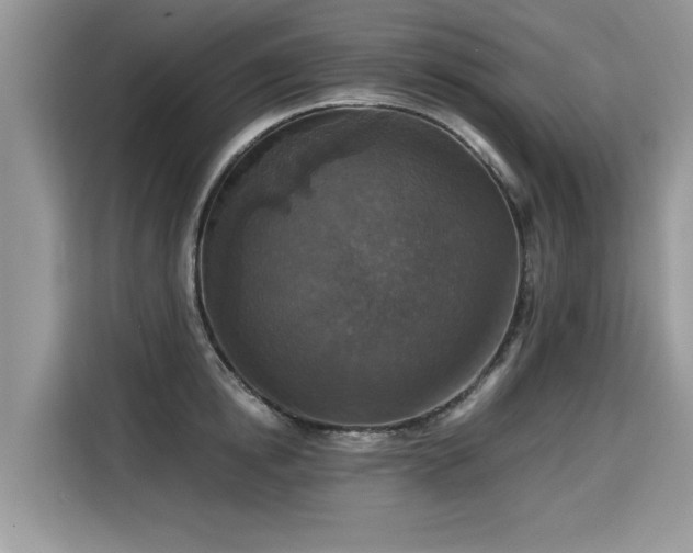 X0000115310854200911091135