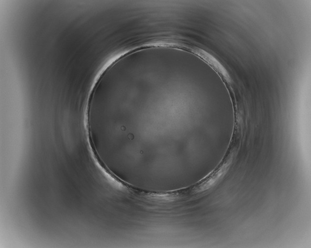 X0000115310855200911091135