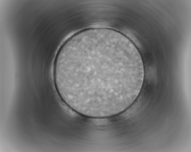 X0000115310856200911091135