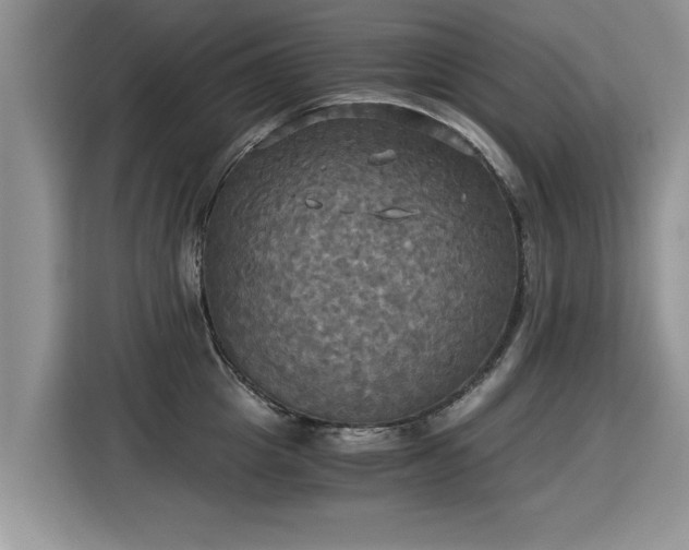 X0000115310857200911091135