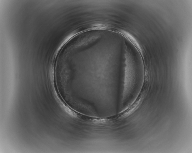 X0000115310859200911091135
