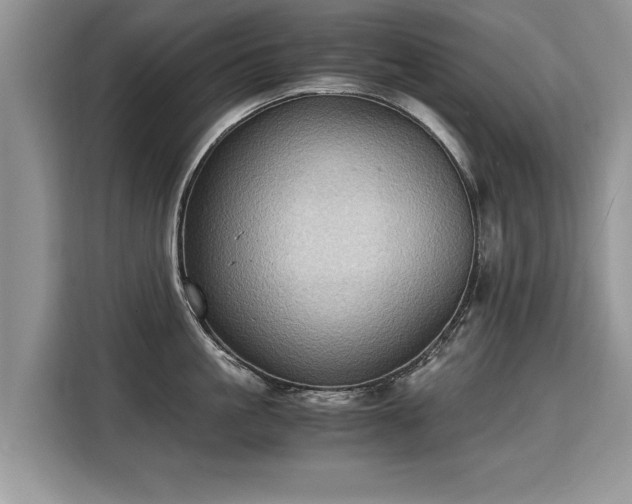 X0000115310861200911091135