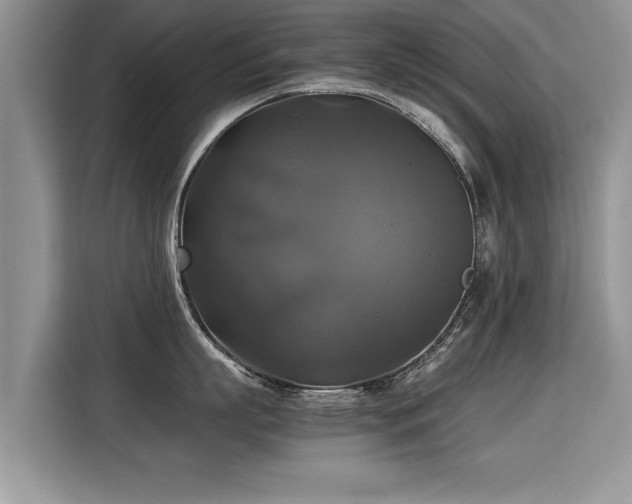 X0000115310863200911091135