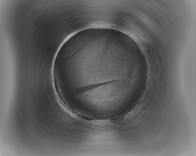X0000115310864200911091135