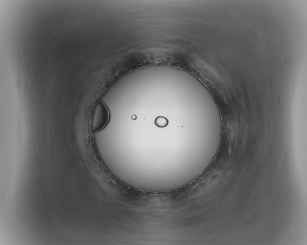 X0000115310865200911091135
