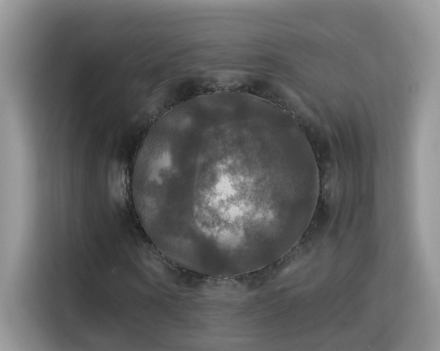 X0000115310866200911091135