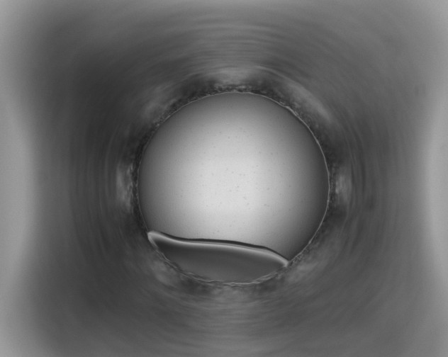 X0000115310868200911091135