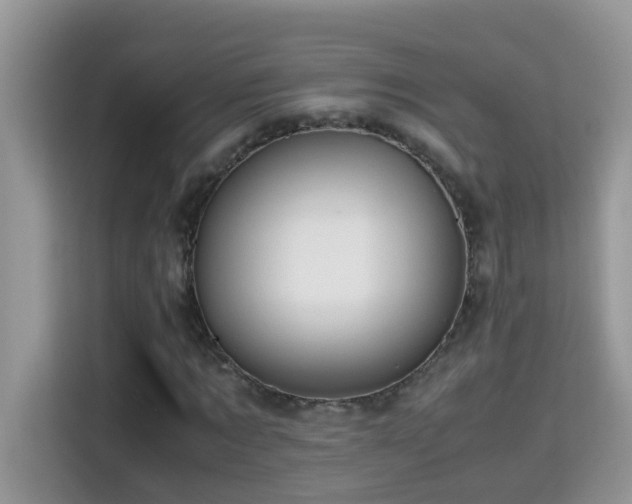 X0000115310869200911091135