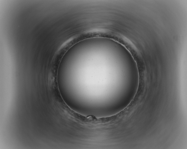 X0000115310872200911091135