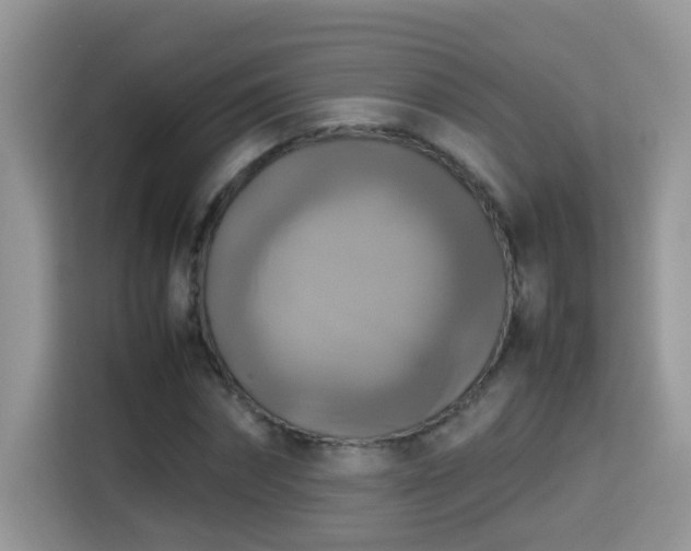 X0000115310874200911091135