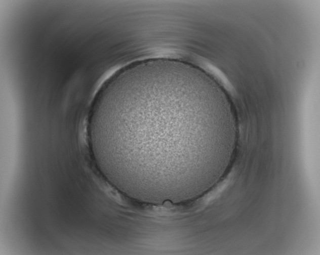 X0000115310875200911091135