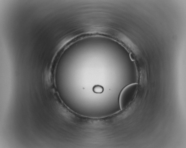 X0000115310876200911091135