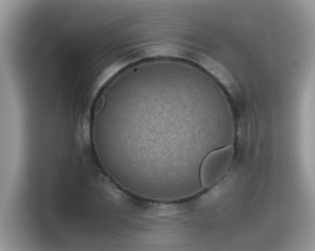 X0000115310877200911091135