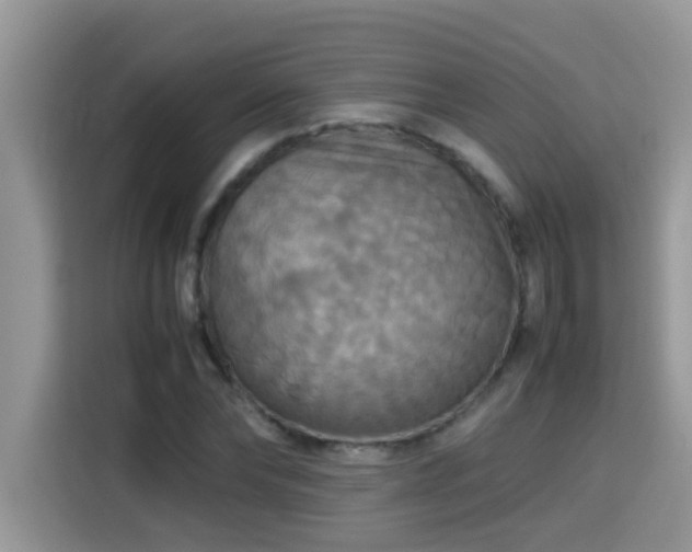 X0000115310878200911091135