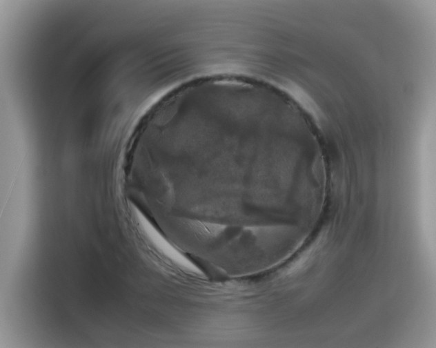 X0000115310879200911091135