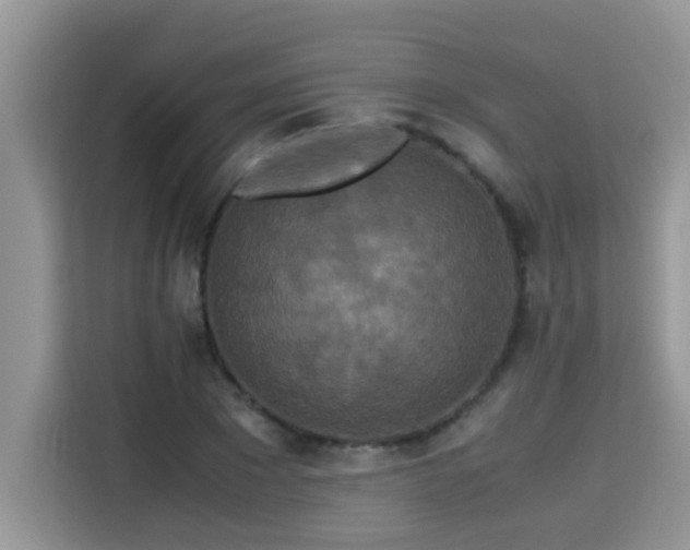 X0000115310881200911091135