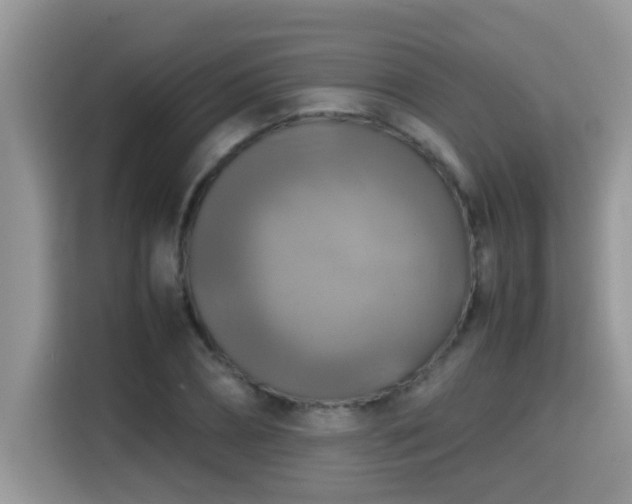 X0000115310882200911091135