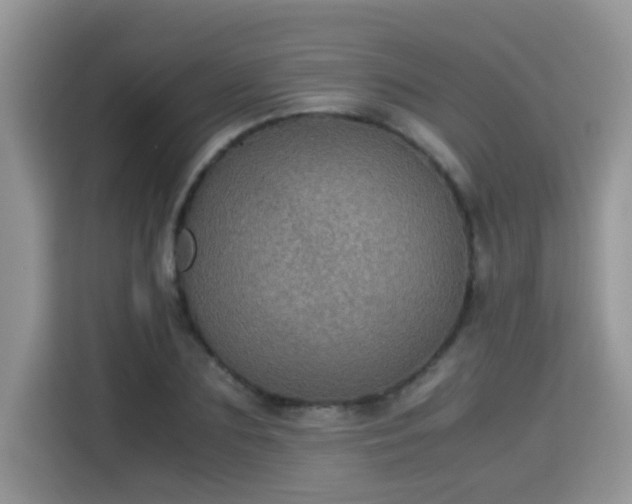 X0000115310883200911091135