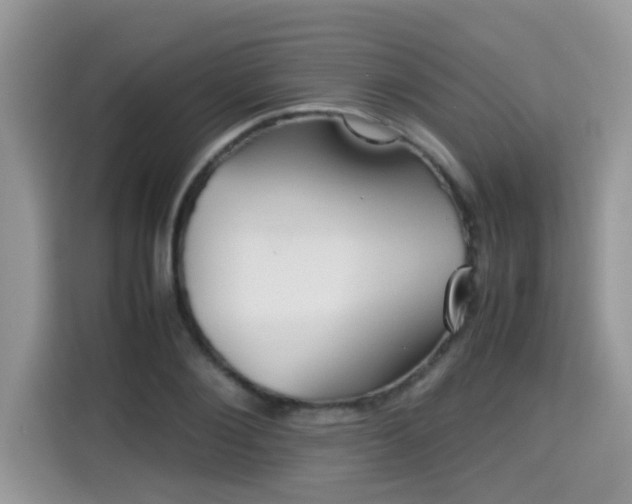 X0000115310884200911091135