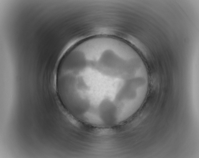 X0000115310886200911091135